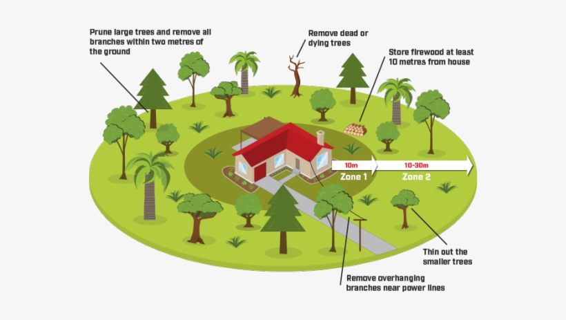 Risk Of Fire And Must Take Precautions To Protect Their - Tree, transparent png download
