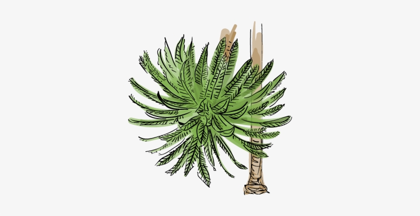 Sudden Crown Drop - Illustration, transparent png download