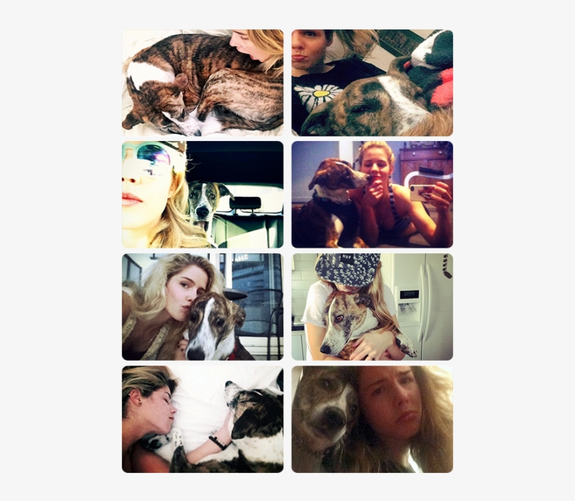 3 - Collage, transparent png download