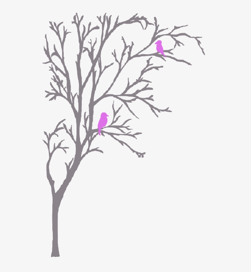 Elmtree - “ - Rosa Glauca, transparent png download