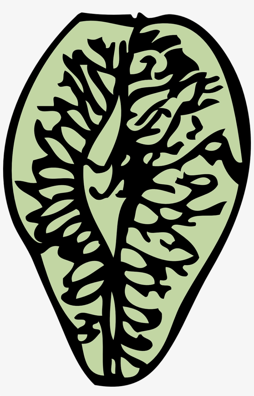 Elm Seed Tree - Clip Art, transparent png download