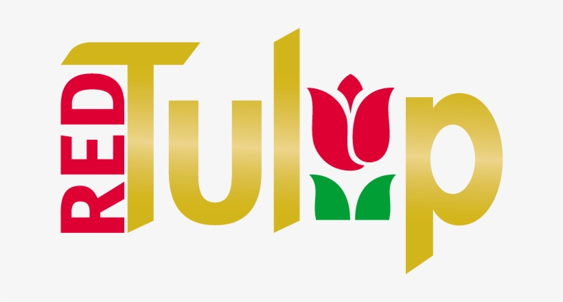 Red Tulip - Tulip, transparent png download