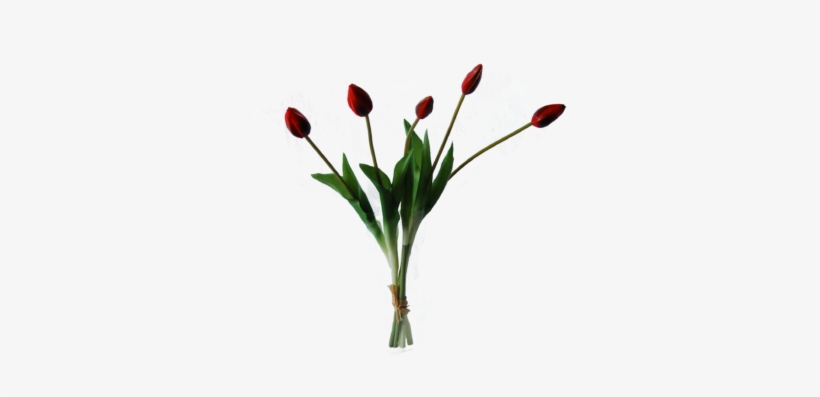 Tulips In A Bundle Of 5 - Artificial Flower, transparent png download