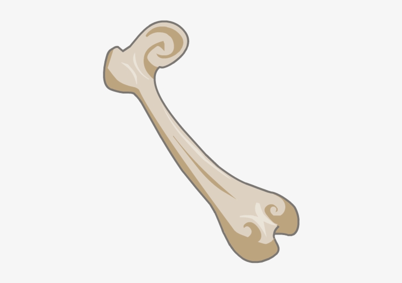 Minotoror Femur - Femur Png, transparent png download