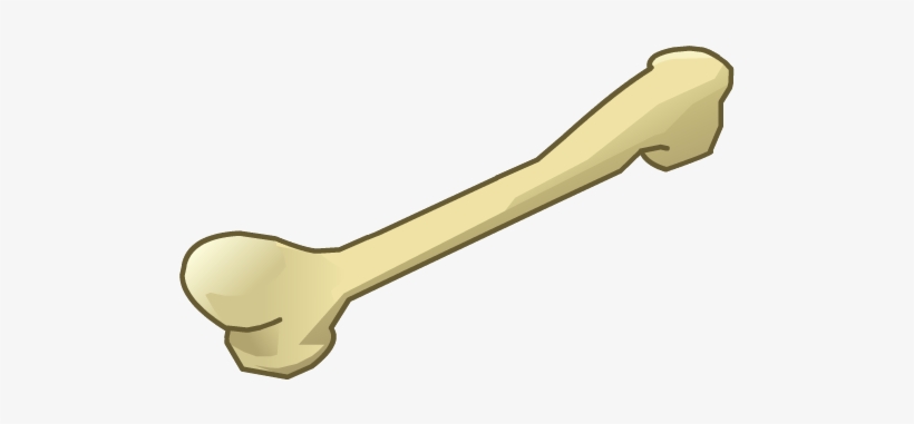 Minotot Femur - Femur Png, transparent png download