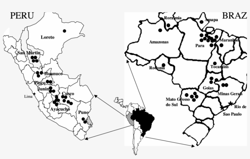 Map Of Peru And Brazil Indicating Geographic Origins - Kindred Sol Collective 'vintage Peru Map' Graphic Art, transparent png download