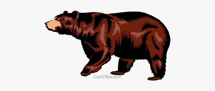 Urso Pardo Livre De Direitos Vetores Clip Art Ilustração - Медведь Вектор Png, transparent png download