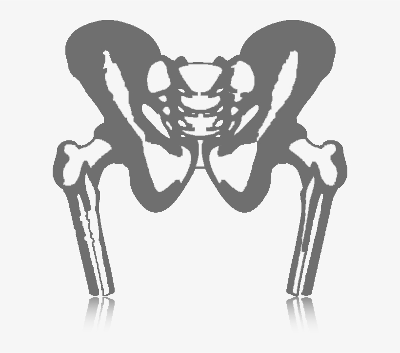 Hip, transparent png download
