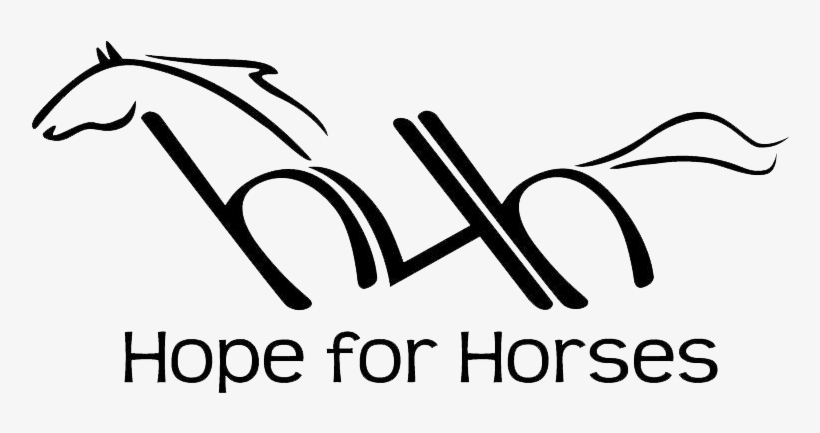 Horse, transparent png download