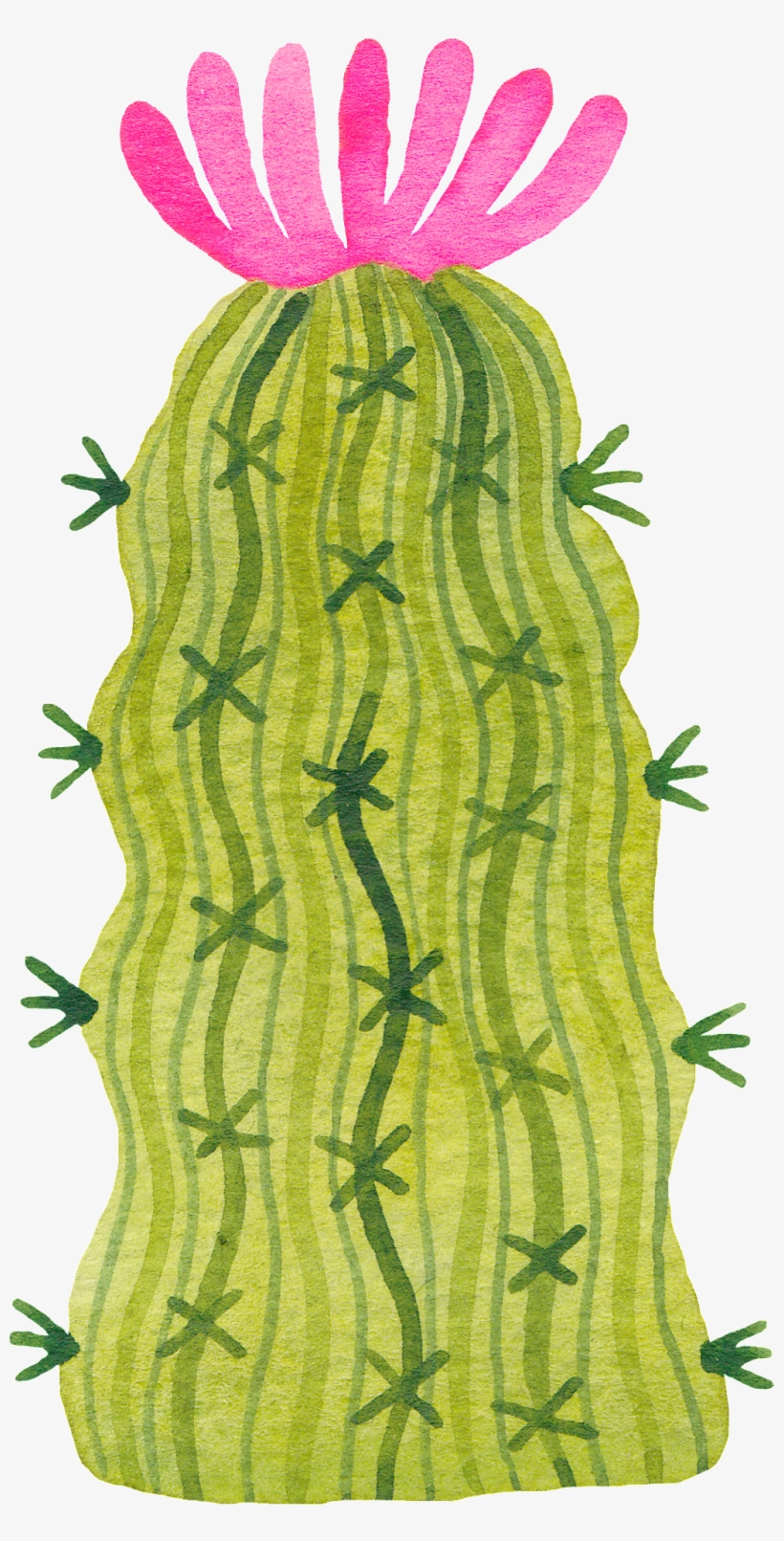 A Thorny Cactus Png Transparent - Portable Network Graphics, transparent png download