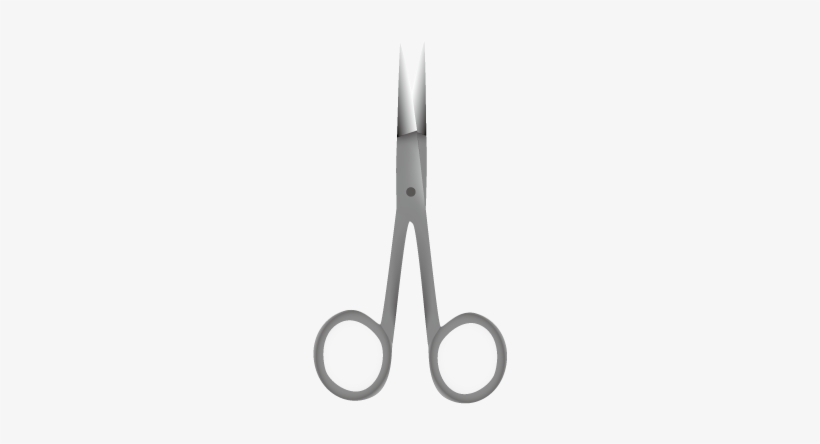 Delicate Dissecting Scissors - Scissors, transparent png download