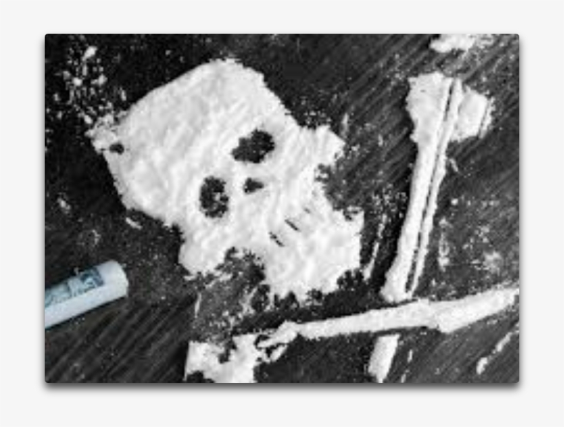 Cocaine - Cocaine Skull, transparent png download