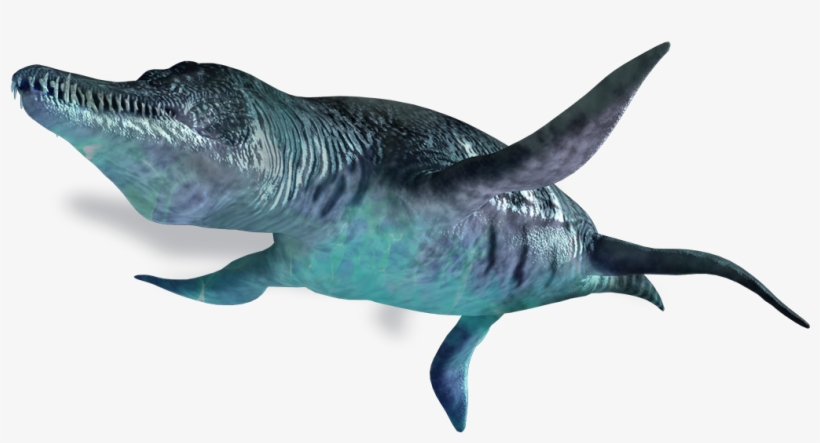 Liopleurodon Dino Large - Plesiosauria, transparent png download
