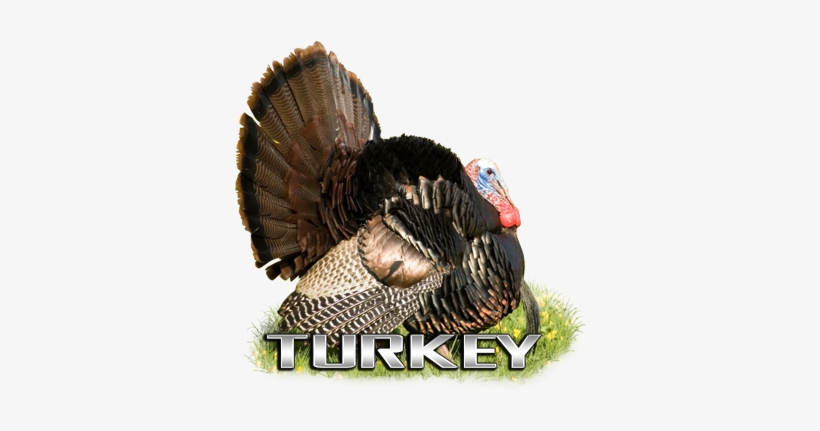American Whitetail Tough Target Face Turkey 32x32, transparent png download