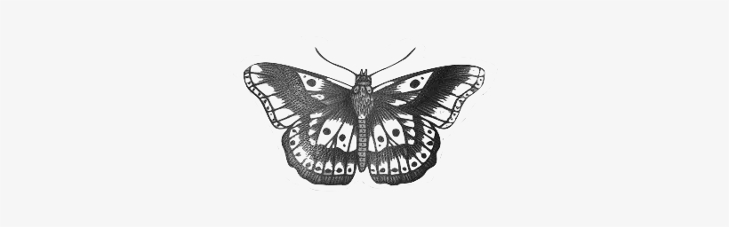 Imagenes Png Buscar Con Google Post Quotes - One Direction Transparent Tattoos, transparent png download