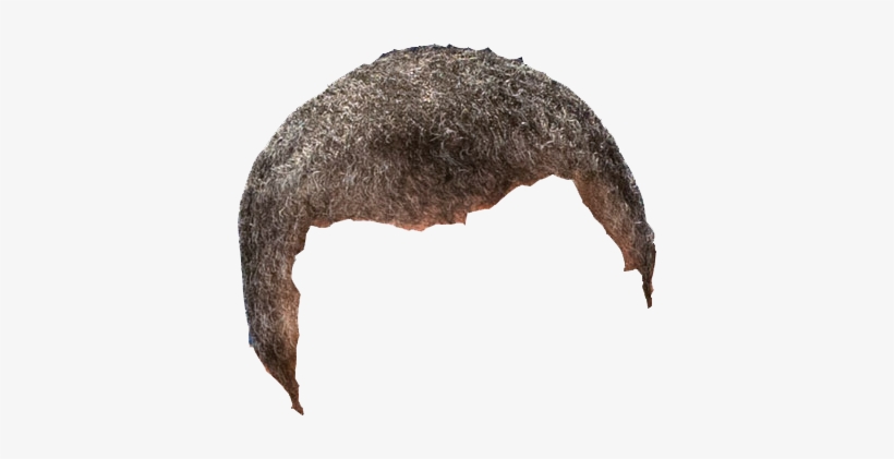 In The Six Years Since Republicans Took Control Of - Cryptid, transparent png download