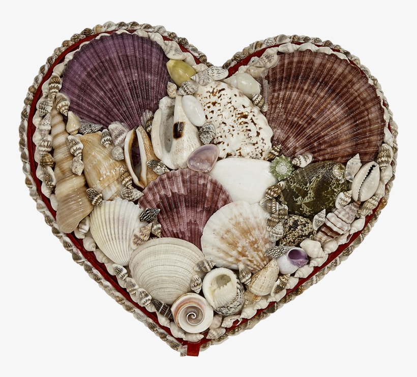 Seashell Jewelry Heart Shaped Box 7x8" - Seashell Shell Jewelry Heart Shaped Box 7x8", transparent png download