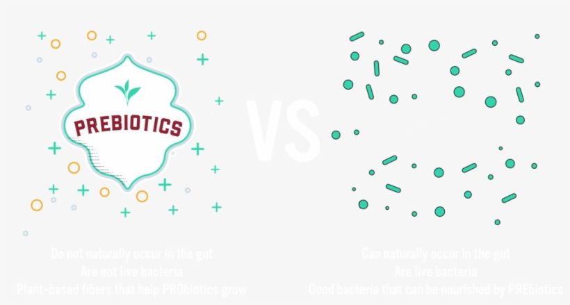 Vs V9 Ce - Portable Network Graphics, transparent png download
