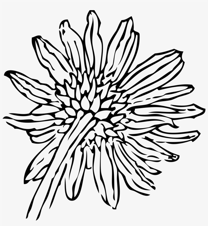 This Free Icons Png Design Of Back Of A Sunflower, transparent png download