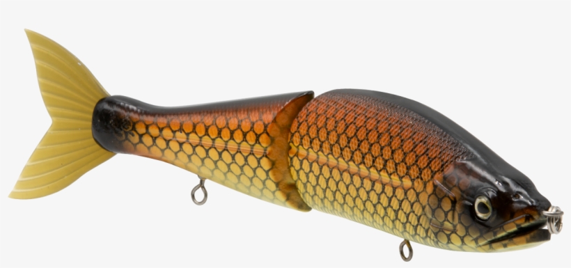 Venom - Trout, transparent png download
