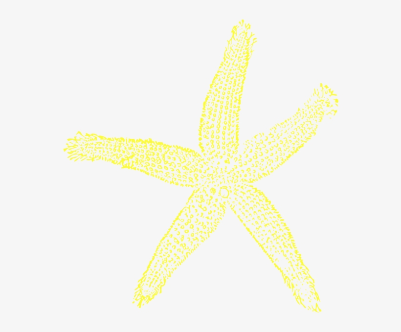 Small - Yellow Starfish Clip Art, transparent png download