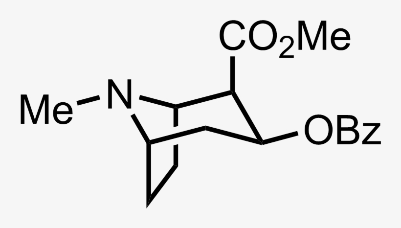 Structure Of Cocaine - Diagram, transparent png download