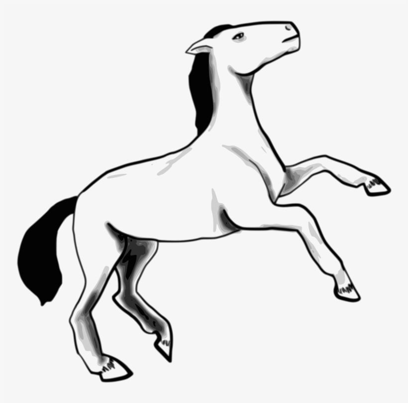 Horse Sketch Shower Curtain - Custom Horse Sketch Mugs, transparent png download