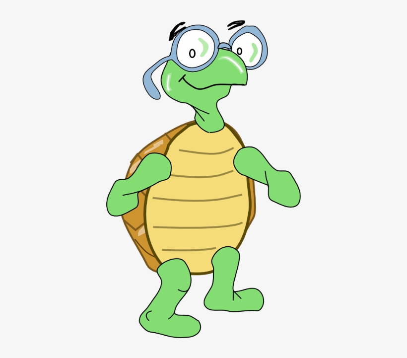 Turtle - Uruguay, transparent png download