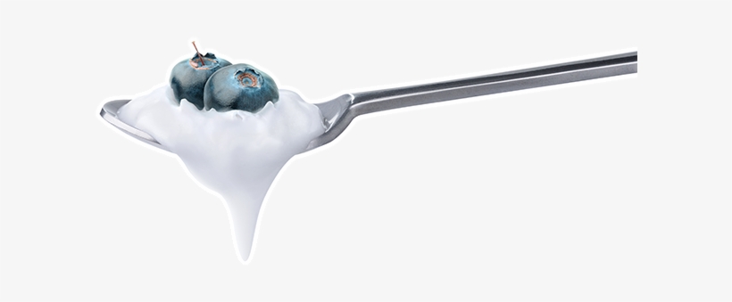 Single Blueberry Png Download - Löffel Des Erdbeerjoghurts Magnet, transparent png download