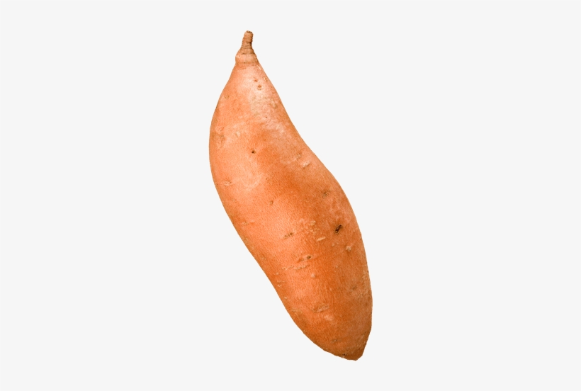 Single Yam - Single Sweet Potato Png, transparent png download