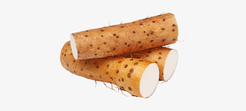 Manfaat Chinese Yam Untuk Vitalitas Kesehatan - Chinese Yam, transparent png download
