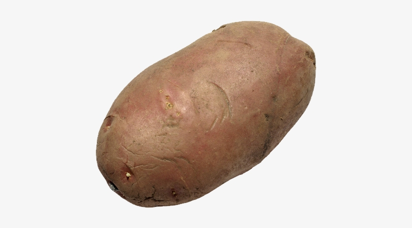 Potato Png Images - Potato With No Background, transparent png download