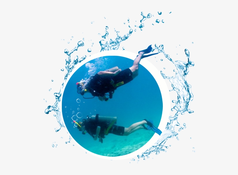 Padi Scuba Diver - Extended Family A1 New Solar Lights 9 Led Wireless, transparent png download