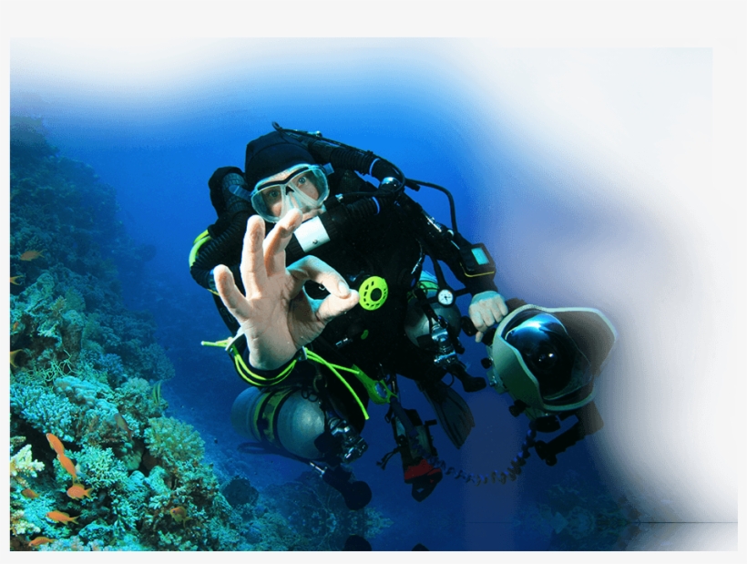 New Orleans - Delise & Hall, transparent png download