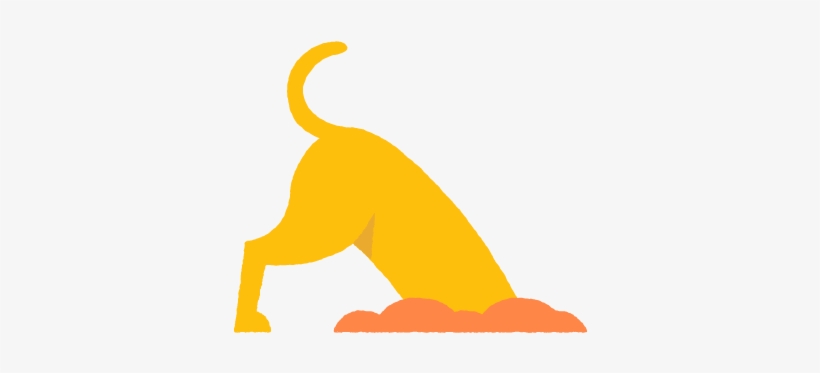 Alt=”” - Pet Insurance, transparent png download