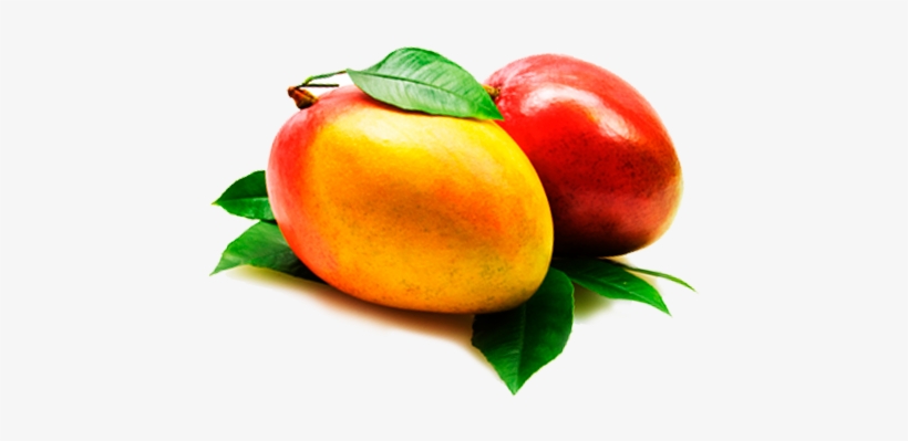 Mango - Mango Fruta, transparent png download