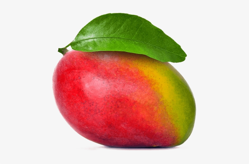 A Manga Tommy Atkins É Um Fruto Tropical Que Proporciona - Mango Tommy Atkins Png, transparent png download