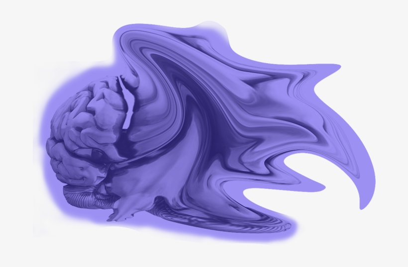 Cerebro - Portable Network Graphics, transparent png download