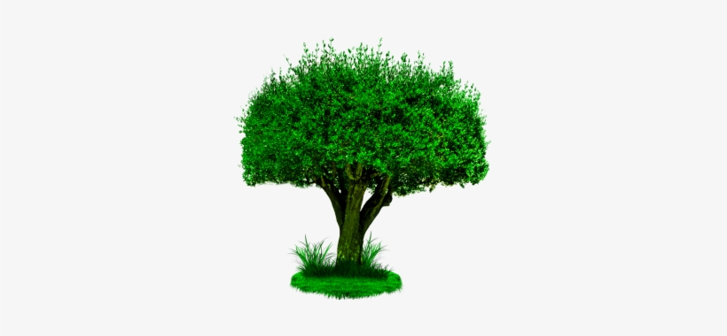 Tree Png - Château De Saumur, transparent png download