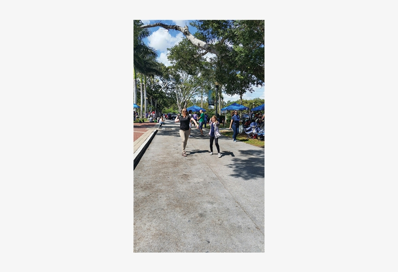 Paper-airplanes - Walking, transparent png download