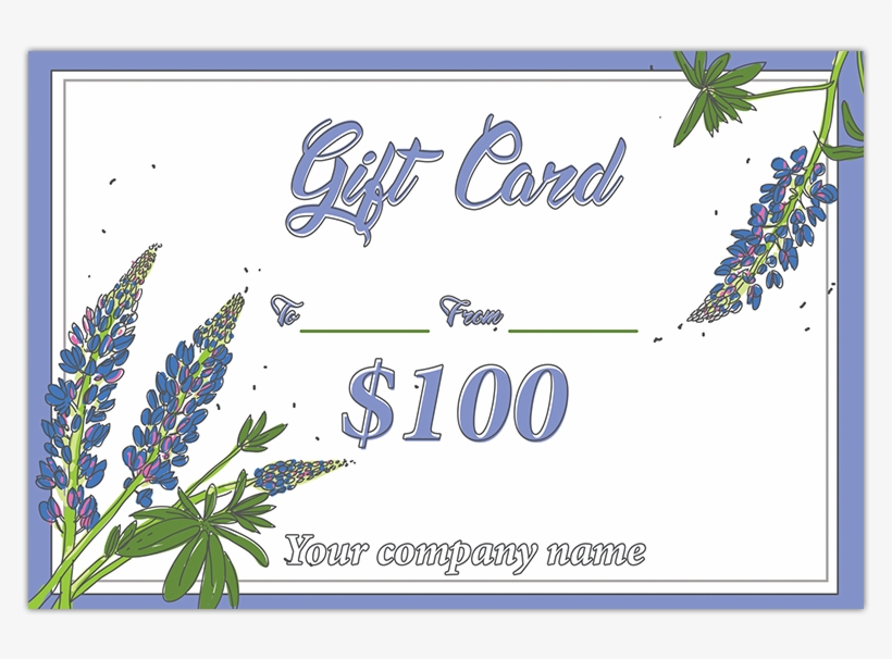Beth Gift Certificate, transparent png download