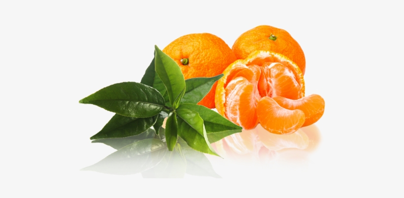 Mandarin Free Png Image - Mandarin Png, transparent png download