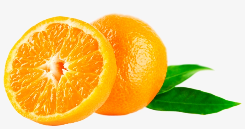 Photograph, transparent png download