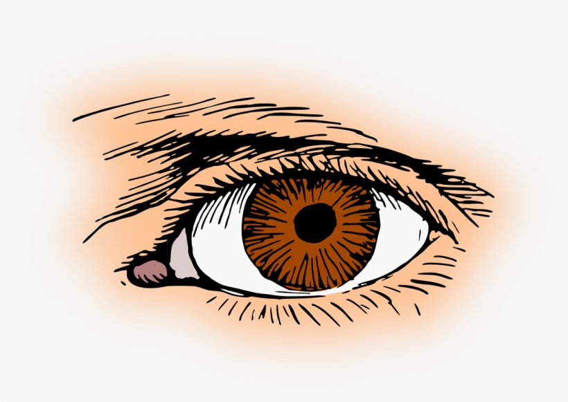 Vector - Clip Art, transparent png download