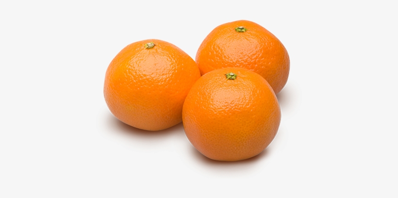 Appearance - Clementines Transparent, transparent png download