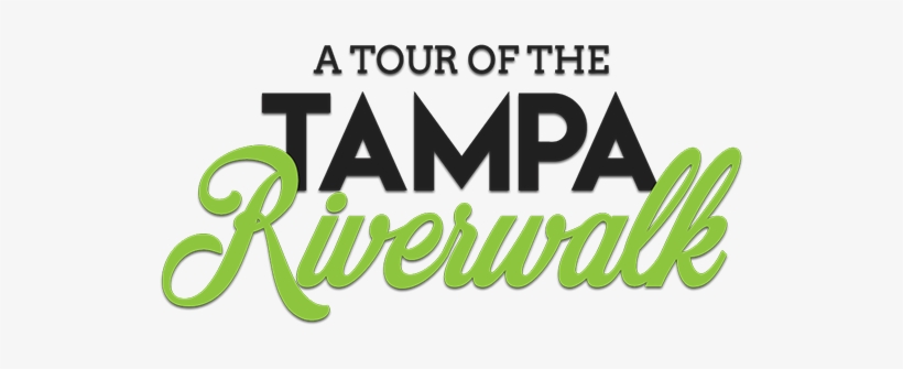 Discover Culture, Entertainment And Adventure Along - Tampa Riverwalk, transparent png download