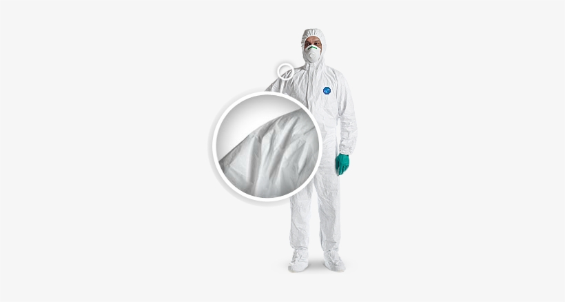6, transparent png download