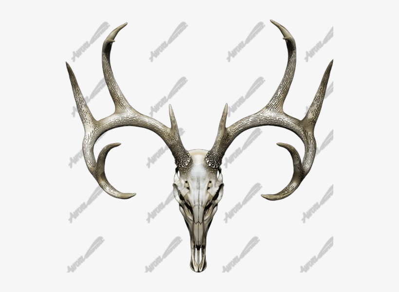 Related Products - Decal, transparent png download