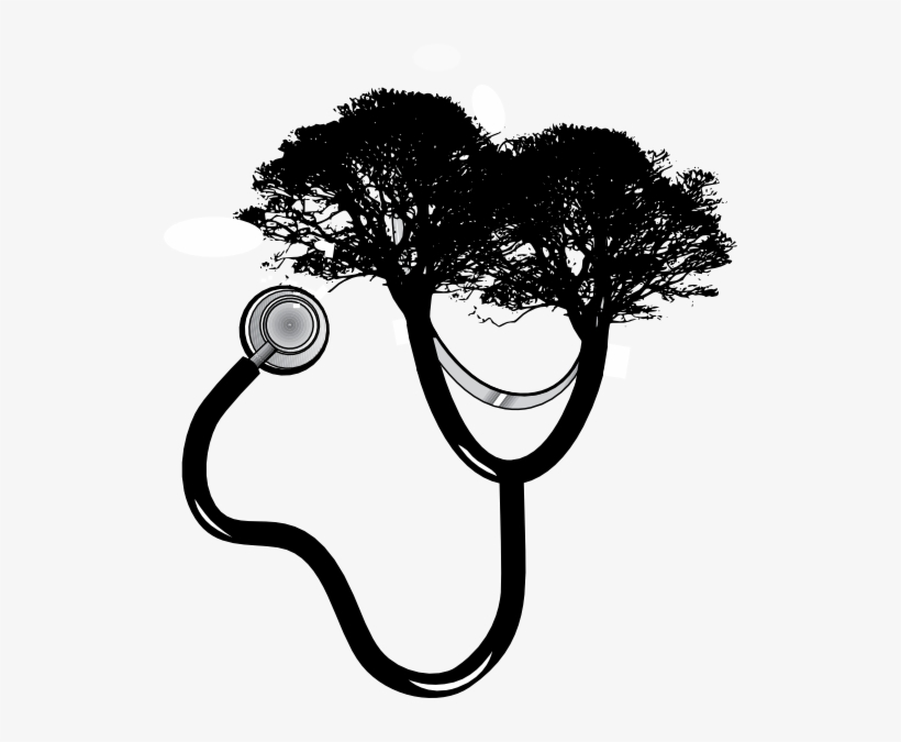 Stethoscope-tree Clip Art At Clipart Library - Stethoscope On A Tree, transparent png download