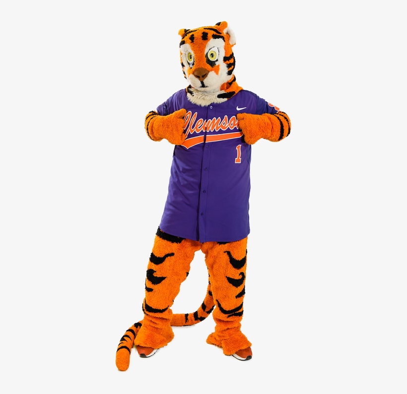 Clemson Tiger Mascot - Clemson Tigers Transparent PNG - 363x713 - Free